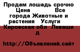 Продам лошадь срочно › Цена ­ 30 000 - Все города Животные и растения » Услуги   . Кировская обл.,Леваши д.